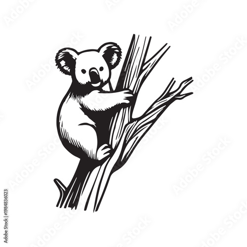 vector koala outline illustration