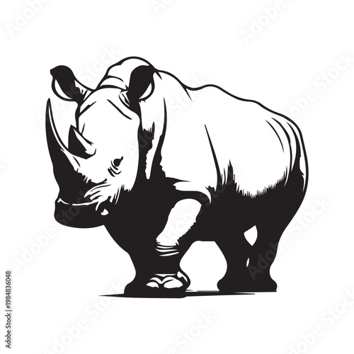 vector rhino illustration