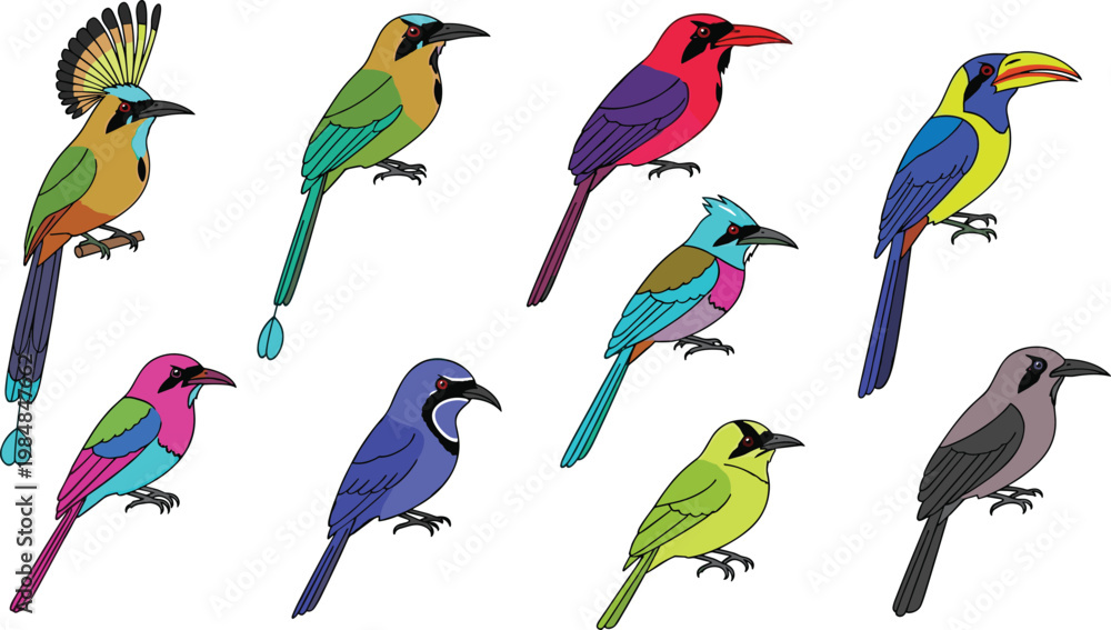 Φωτογραφία Motmot species and colorful tropical bird wildlife flat icon set