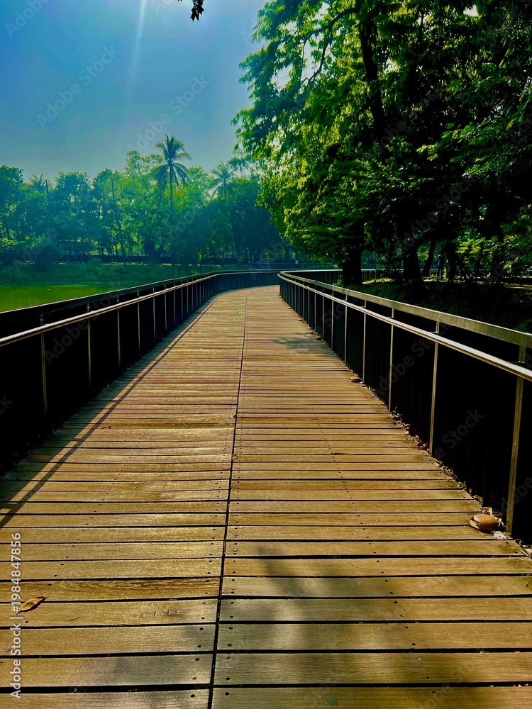 Fototapeta premium Perspective view of a wooden bridge boardwalk surrounded by green trees.