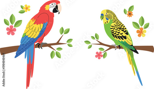 Illustration of Colorful Parrot and Budgie Birds Sitting on Branches with Flowers in Flat Design Style