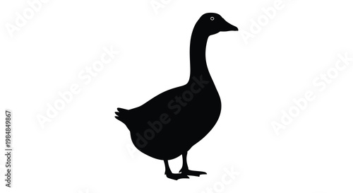 A striking black silhouette of a goose standing in profile showcasing its elegant form and posture silhouette high quality professional detailed