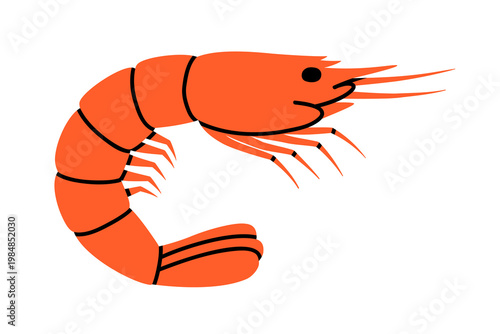 Hand drawn cute illustration of shrimp or prawn. Flat vector summer seafood doodle sticker. Raw water animal with shell icon. Vacation or travel meal. Mediterranean menu. Isolated.