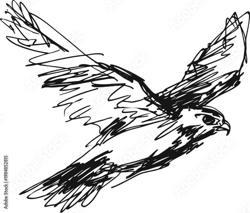 flying hawk sketch black and white hand drawn bird of prey in mid flight with outstretched wings