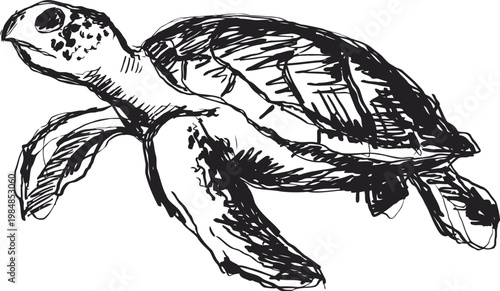 Black and white hand drawn sea turtle swimming underwater illustration, marine animal sketch, ocean wildlife