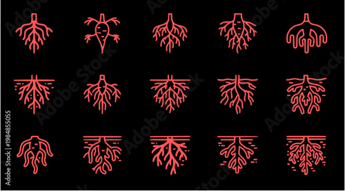 A collection of red vascular system illustrations on a black background