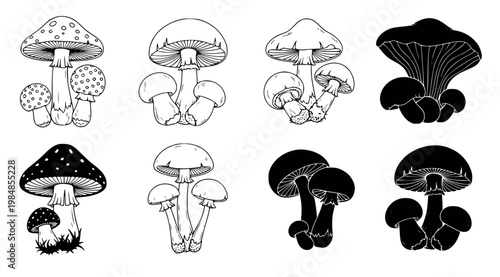 A collection of eight black and white vector illustrations of various mushroom species in different styles and shades on a white background