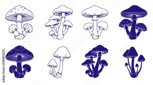 A set of nine blue and white illustrations of various mushroom species in a flat design style