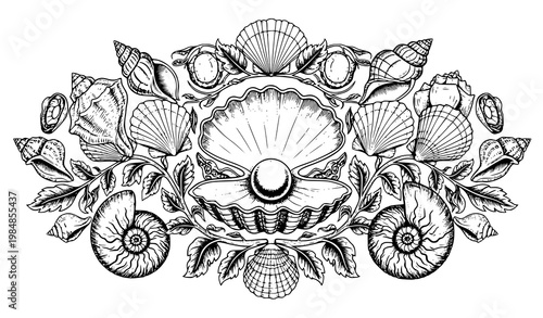 Ornamental seashell pearl vector symmetry floral marine engraving art