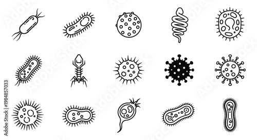 A collection of various microscopic organisms including bacteria and viruses depicted in a simple black and white silhouette high quality professional detailed modern