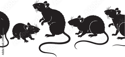 A sequence of rats in various dynamic poses