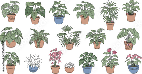 Large collection of indoor houseplant vector illustrations featuring monstera palm fern and tropical foliage in ceramic pots isolated on white.