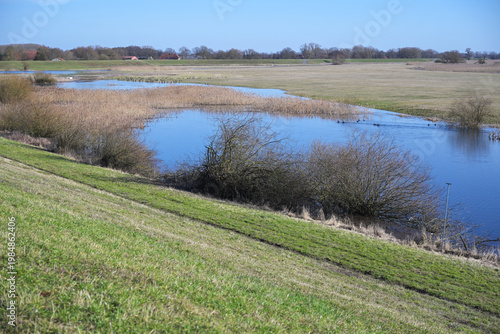 Floodplains and shallow water areas between the dikes along the banks of the Elbe River, a landscape in northern Germany, copy space
