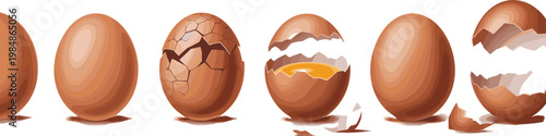 Set of cracked brown chicken eggs with shells and yolk in vector illustration style for cooking baking food recipes and eggshell concept designs.