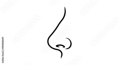 Simple black line drawing of a human nose with nostril detail