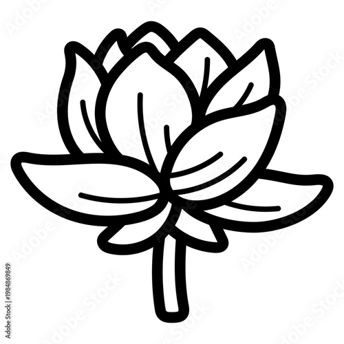lotus illustration