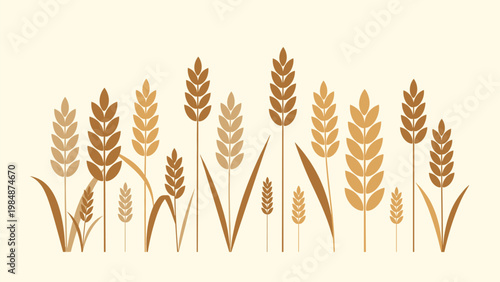 Field of ripe wheat ears standing tall under a soft light representing agriculture, harvest time, and food production.