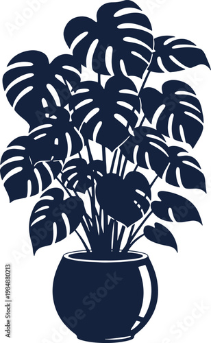 Monstera deliciosa houseplant silhouette in round ceramic pot with tropical foliage style.