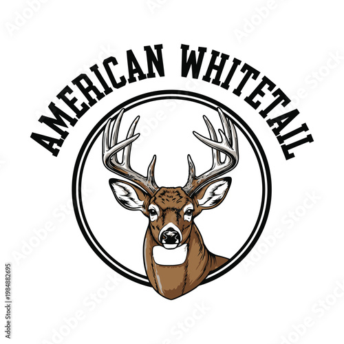 American Whitetail deer logo with antlers on white background design