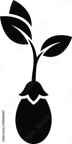 A black and white image of a plant sprouting from the ground