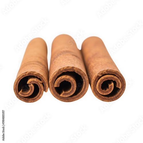 Three rolled cinnamon sticks with light tan bark texture on black background rolled bark