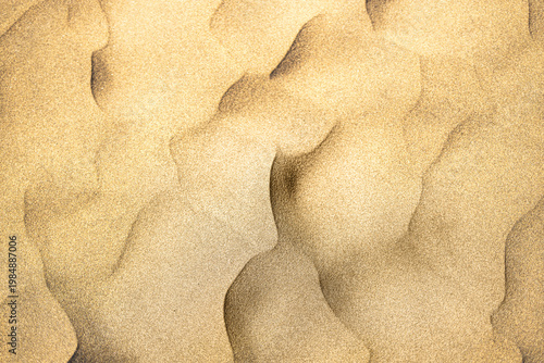 Wind-rippled sand dune surface abstract texture top view