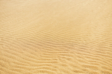 Sand dune ripple patterns wide view with horizon