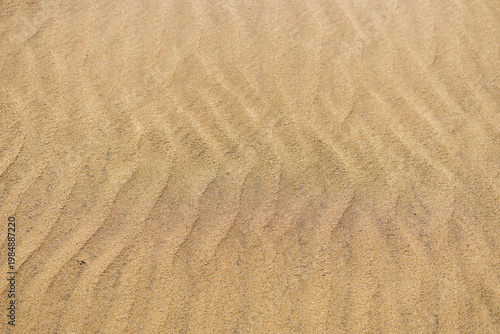 Sand dune with chevron ripple pattern top view