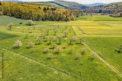 A bird's-eye view of the Taunus landscape awakening in spring, with blossoming trees and yellow rapeseed fields.