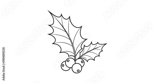 Minimalist line art drawing of a branch of holly with two leaves and several berries, intended as a festive holiday icon or coloring page.