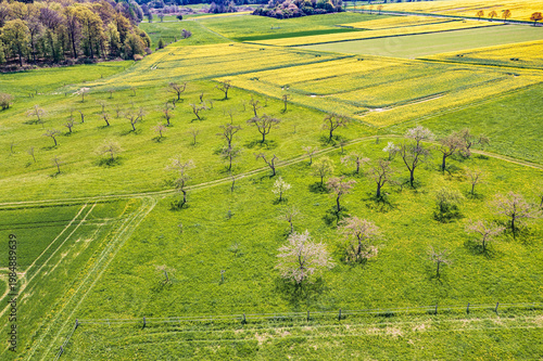 A bird's-eye view of the Taunus landscape awakening in spring, with blossoming trees and yellow rapeseed fields.