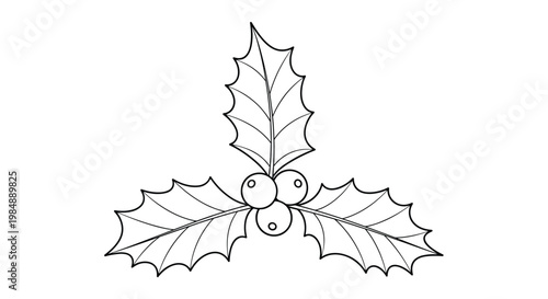 Classic black and white line drawing of three holly leaves and a cluster of berries, used as a traditional Christmas or winter decoration.