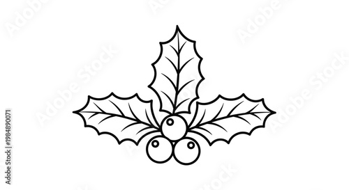 Minimalist outline of a holly branch with three pointed leaves and three central berries, presented as a black and white winter holiday icon.