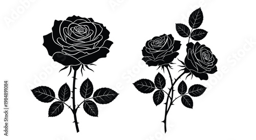 Elegant black rose floral arrangement with leaves on transparent background silhouette