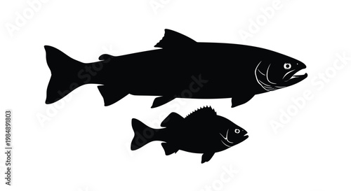 Black silhouette of two fish swimming ideal for design on transparent background