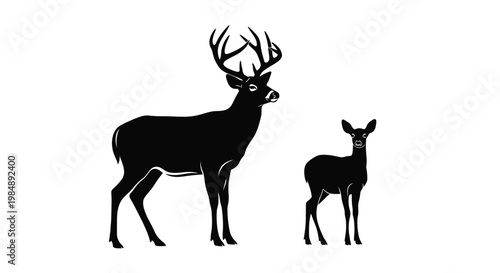 A majestic buck and fawn in a striking silhouette on transparent background