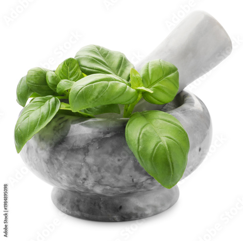 Fresh basil leaves, mortar and pestle isolated on white