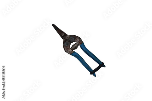 Old rusty pruning shears with blue handles and a spring mechanism