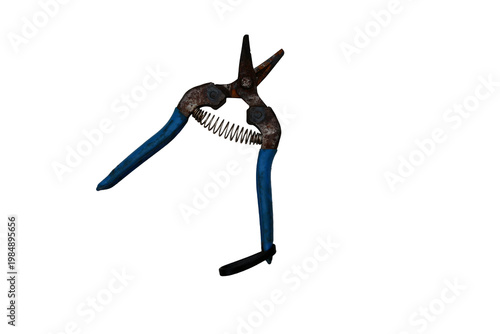 Old rusty pruning shears with blue handles and a spring mechanism
