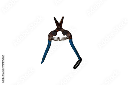 Old rusty pruning shears with blue handles and a spring mechanism