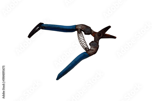 Old rusty pruning shears with blue handles and a spring mechanism