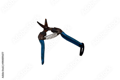 Old rusty pruning shears with blue handles and a spring mechanism