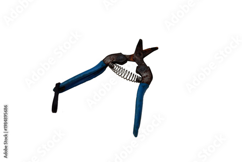 Old rusty pruning shears with blue handles and a spring mechanism