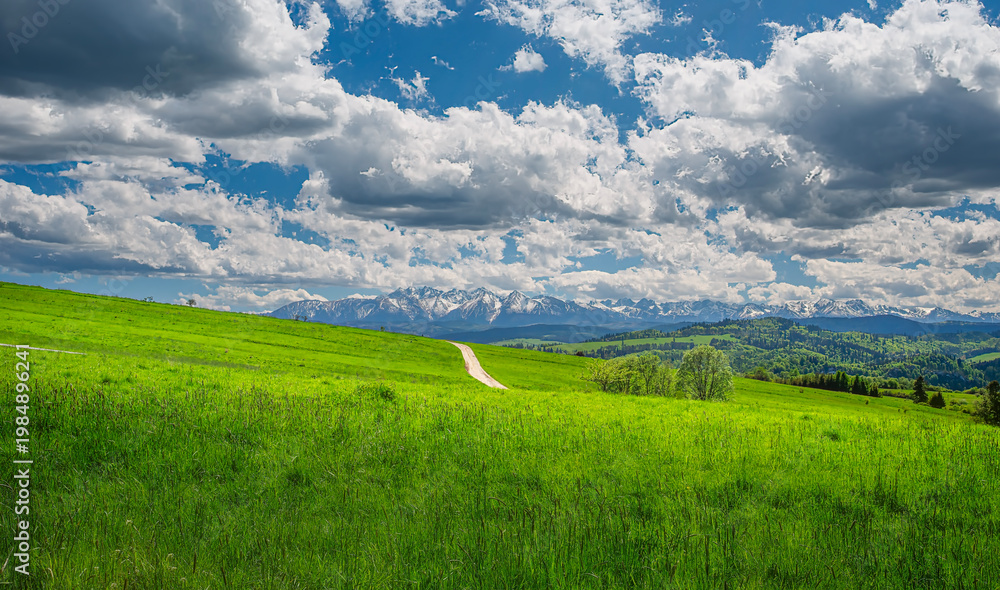 Obraz premium green field and blue sky