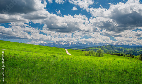 green field and blue sky