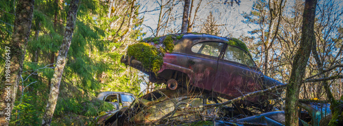 Foto Abandoned cars submerged in forest swamp overtaken by nature