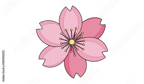 Minimalist Pink CherryBlossom Vector Illustration for Designers and Brands