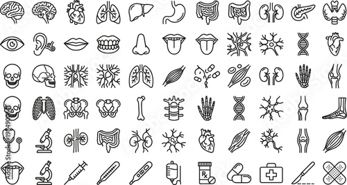 Human Anatomy and Medical Line Icon Set with Organs, Skeleton, Muscles, Cells, Healthcare, Biology, and Clinical Symbols for Web and App Design