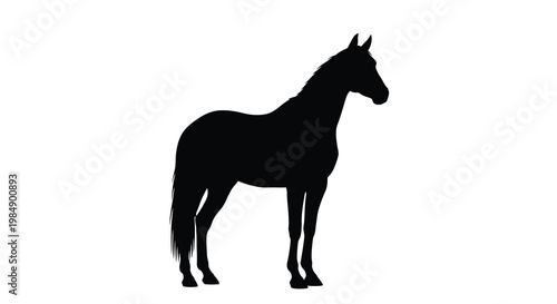 Silhouette of a horse standing in profile against a white background