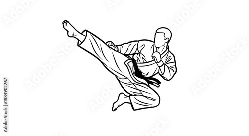 Karate practitioner executing a powerful high kick with focused determination.